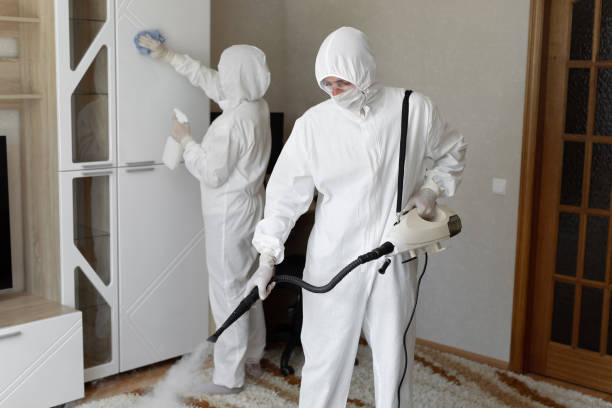 Trusted Sewage Cleanup service in Union City, PA - Four Month Blood Cleanse